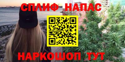 стаф Бугуруслан