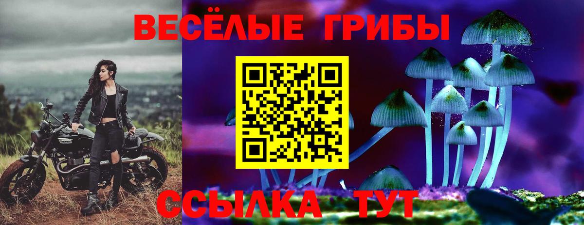 Галлюциногенные грибы Psilocybine cubensis  Галлюциногенные грибы GOLDEN TEACHER  Ртищево  Вход с VPN 